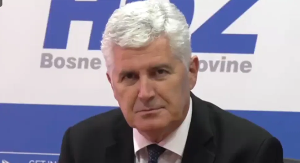 dragan covic.webp